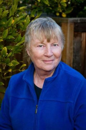 Post image for Quirky characters take to the road