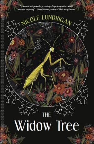 Post image for Family conflict captures pain of past